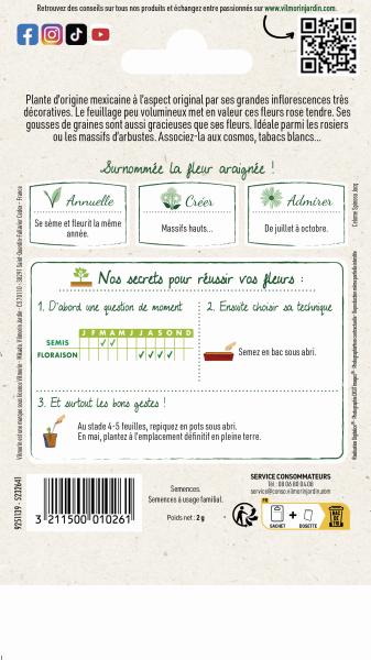 Fleurs - Cléome Rose - MEDIA_PACKAGING_VERSO